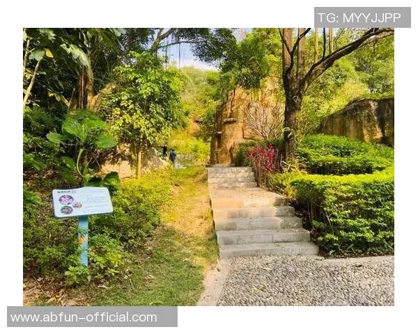 深圳科技园足球场周边休闲娱乐设施全攻略助你畅享运动与生活乐趣