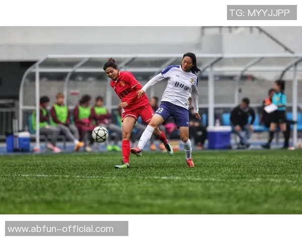 杨晨足球之夜精彩回顾与未来展望共庆足球盛宴的激情时刻 杨晨足球之夜精彩回顾与未来展望共庆足球盛宴的激情时刻